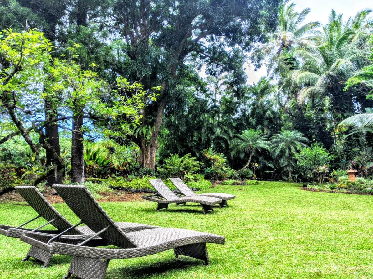 Bed & Breakfast Kehena Mauka Nui Club Lgbtqia+ Clothing Optional *