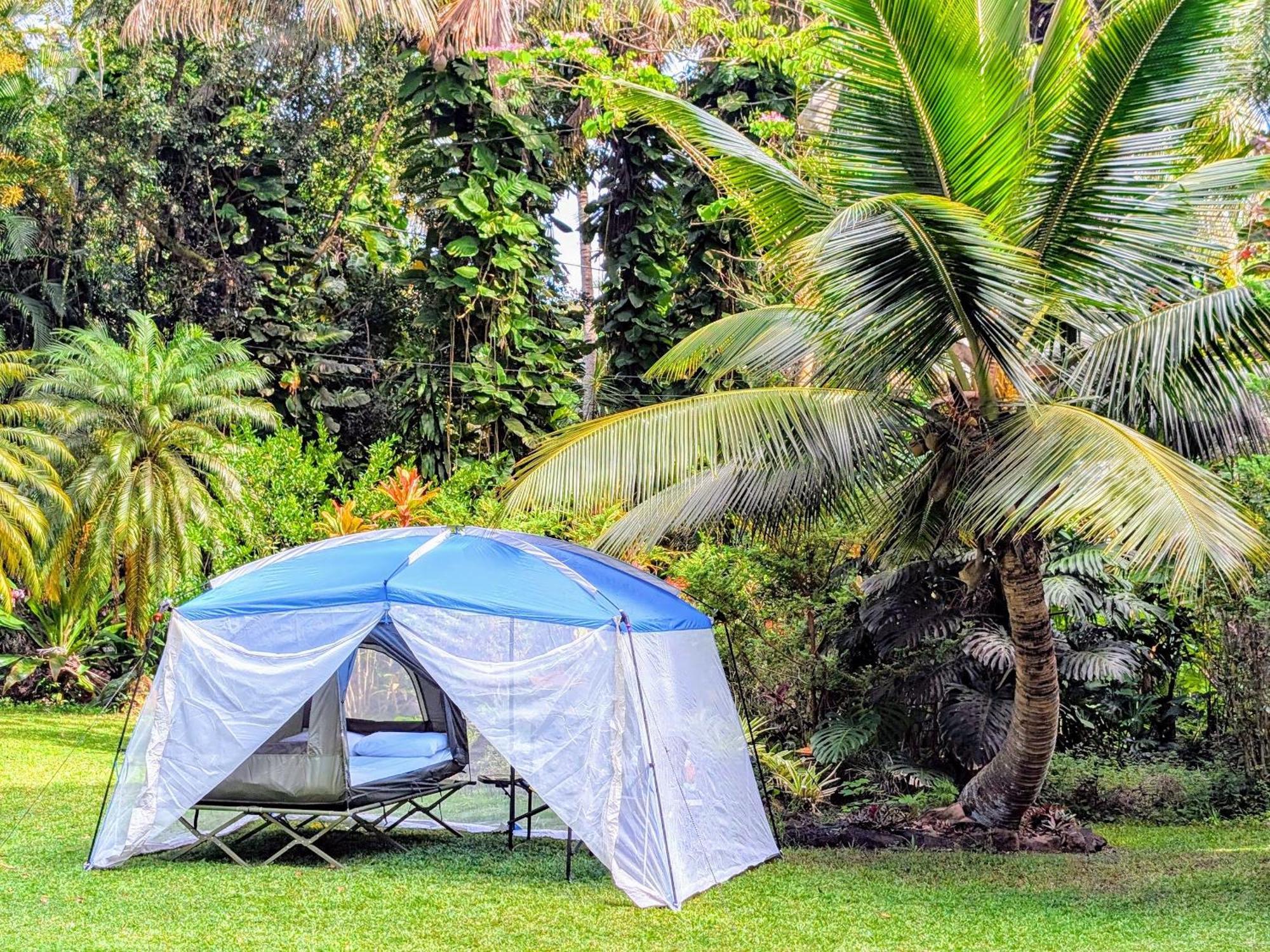 Kehena Mauka Nui Club Lgbtqia+ Clothing Optional *