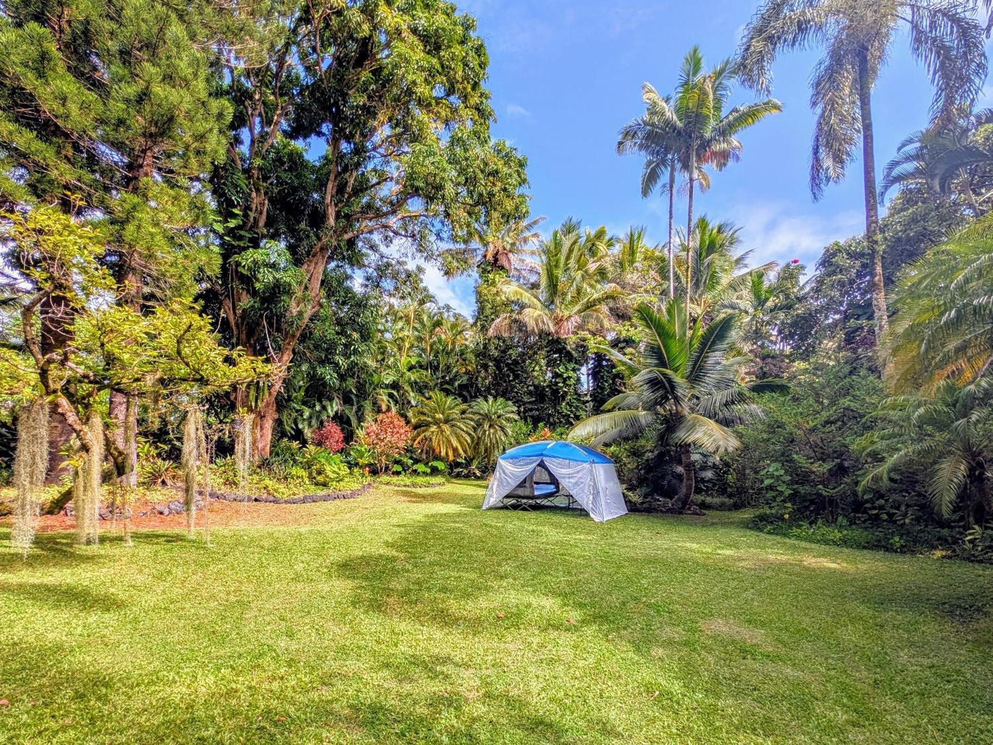 Kehena Mauka Nui Club Lgbtqia+ Clothing Optional Pahoa